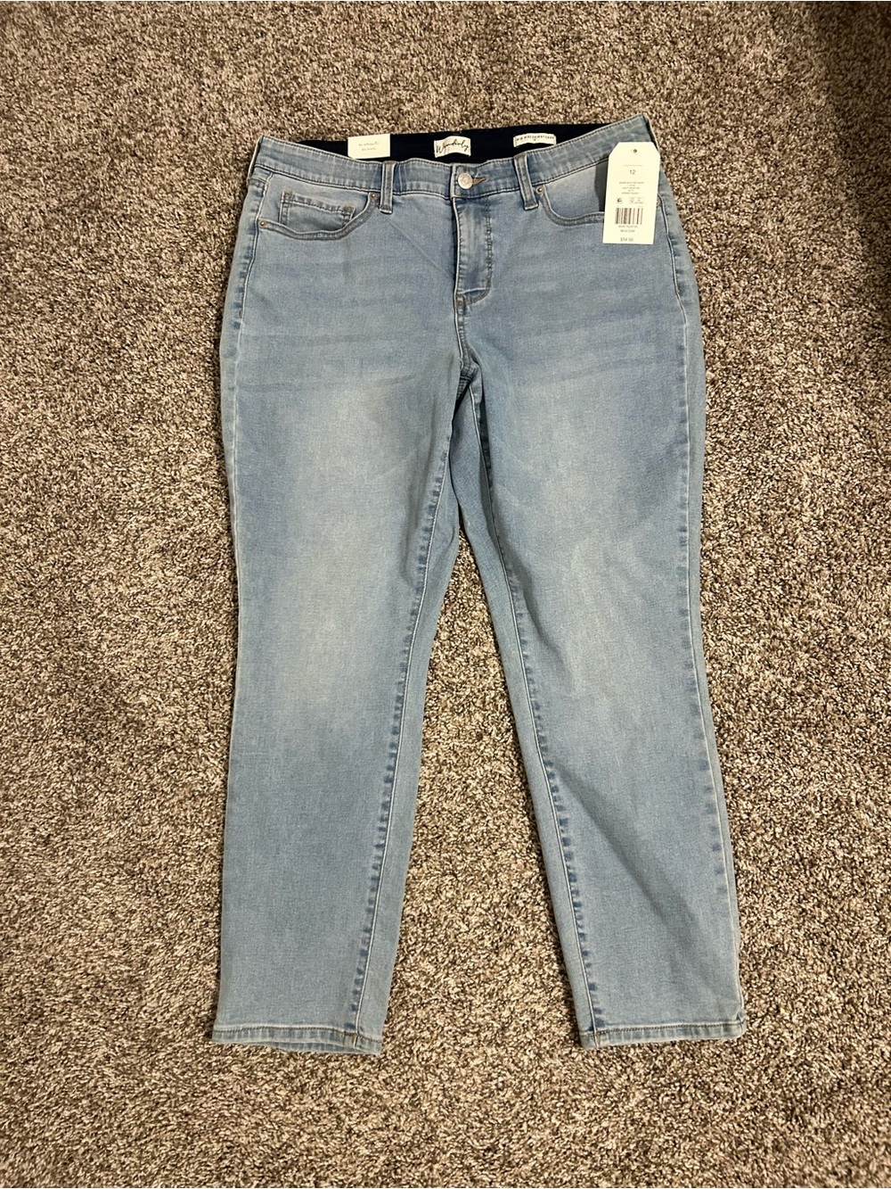 Wonderly Skinny Jeans in Light Blue Wash